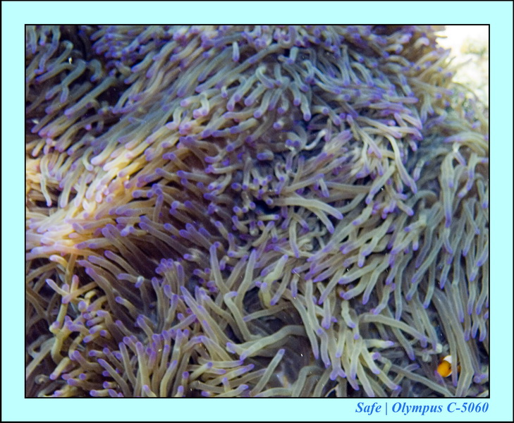 2008 - 07 - Leng Tengah - 055